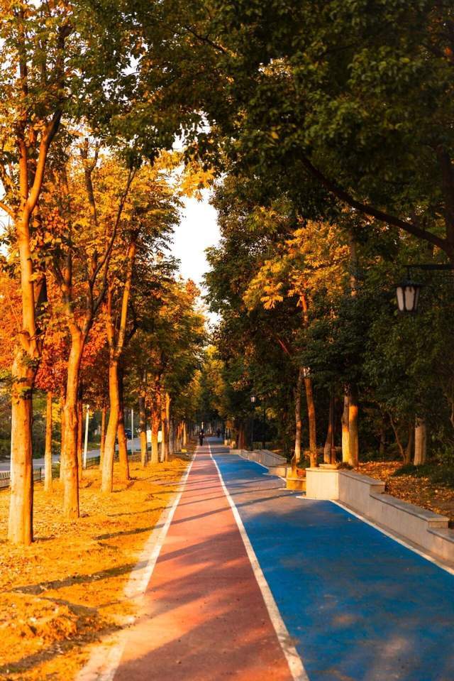 开云官网-更快速度+更强助功 特步的马拉松惊喜